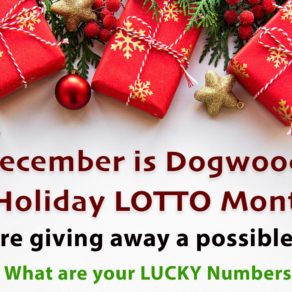 Dogwood Dec 2023 Holiday Lotto Header