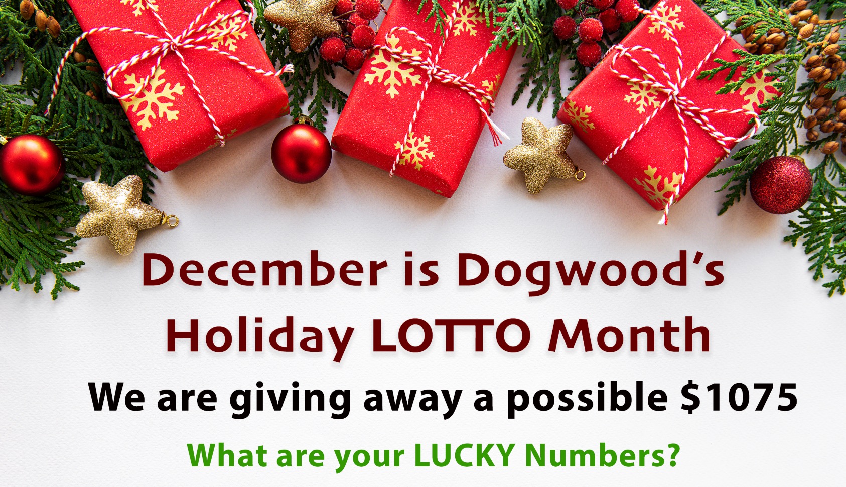Dogwood Dec 2023 Holiday Lotto Header