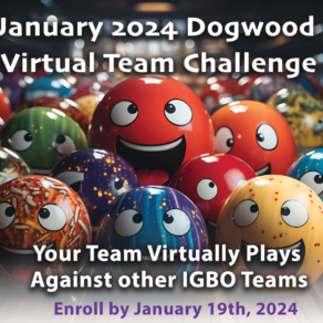 VirtualTeamChallenge_Feature_graphic